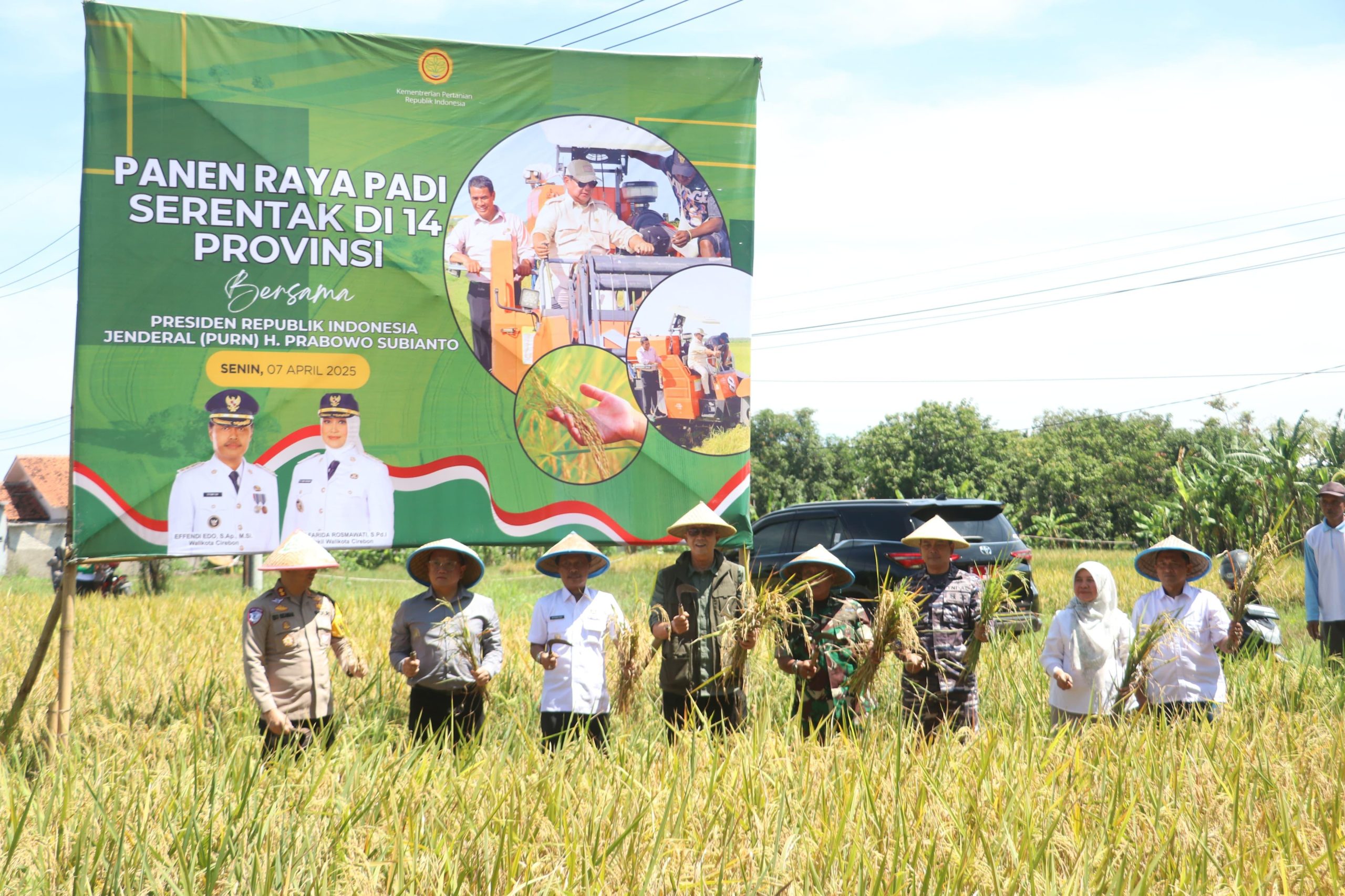 Panen Raya Serentak, Kota Cirebon Tegaskan Komitmen Dukung Ketahanan Pangan Nasional