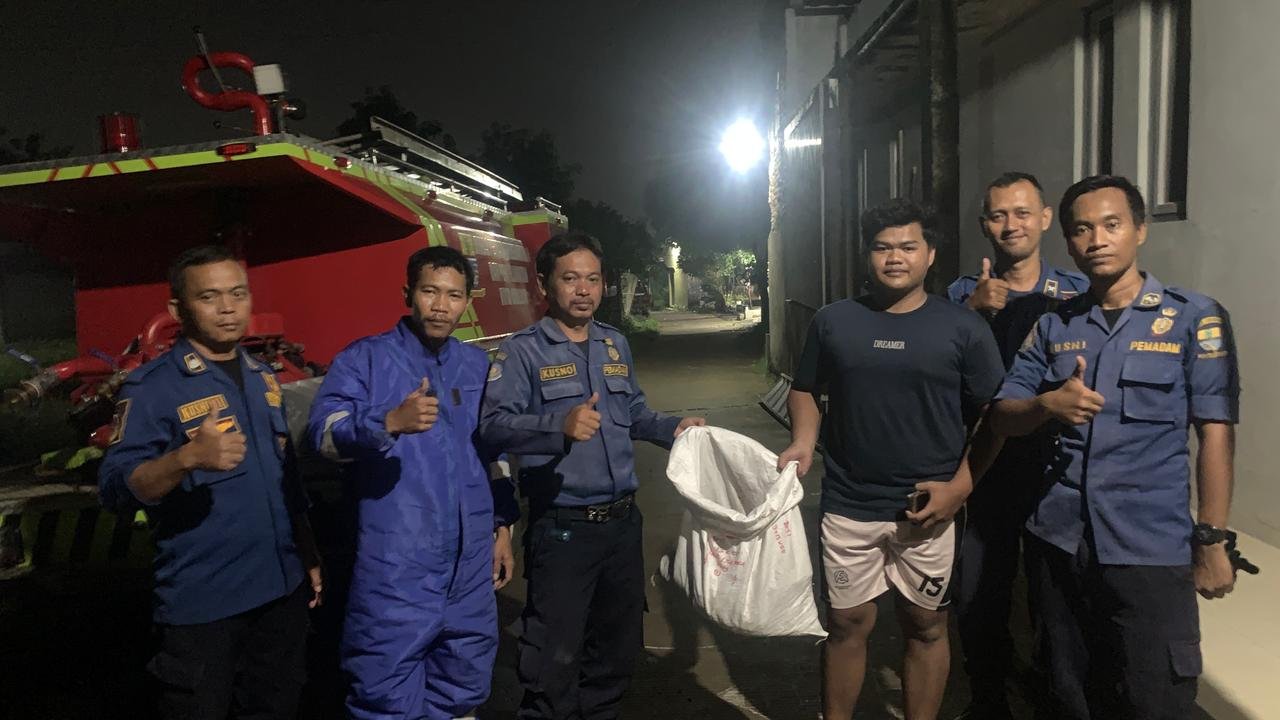 DPKP Kota Cirebon Evakuasi Sarang Tawon Vespa Affinis di Atap Rumah Warga Argasunya