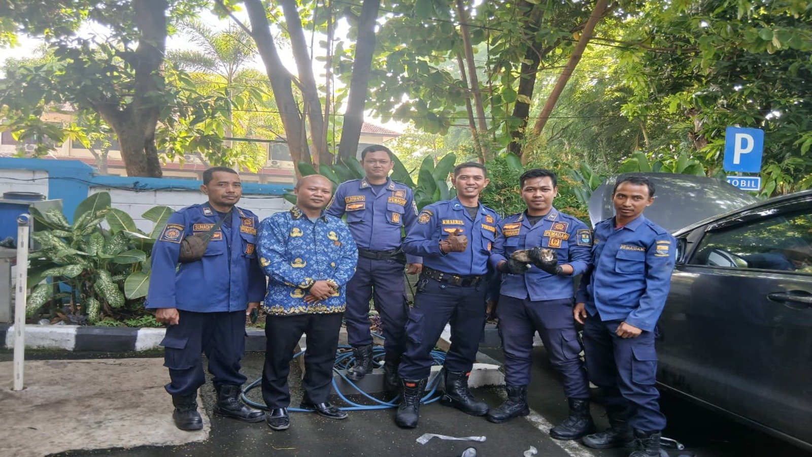 Penanganan Kucing Terjebak di Mesin Mobil di Kantor Disdukcapil Kota Cirebon