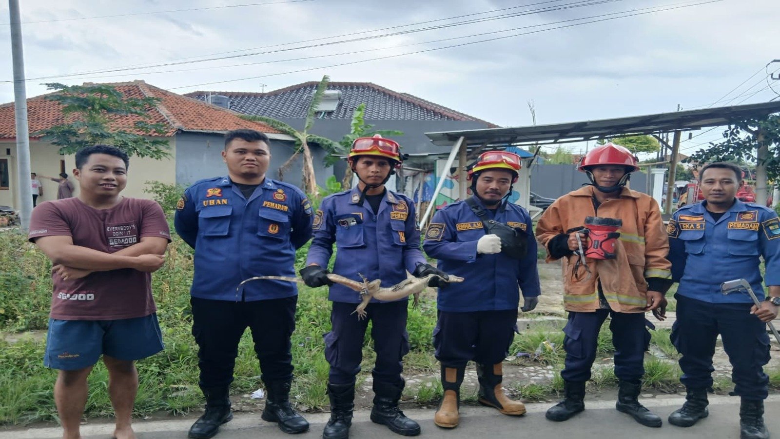Evakuasi Biawak di Permukiman Karyamulya Berhasil Dilakukan DPKP Kota Cirebon