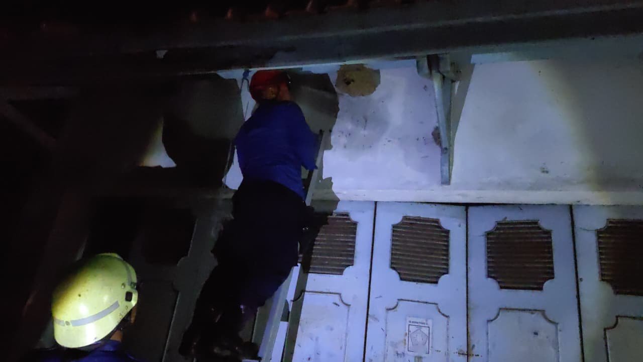 Petugas DPKP Kota Cirebon Evakuasi Sarang Tawon di Plafon Gudang di Kawasan Kalijaga